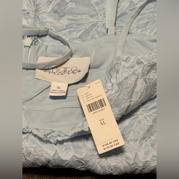 ✨ Anthropologie Sleeveless Lace Mini Dress Sz XL - Picture 7 of 7